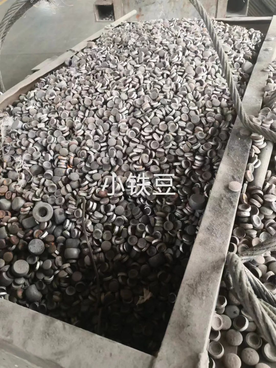 1704866527748640.jpg 1704866527748640.jpg